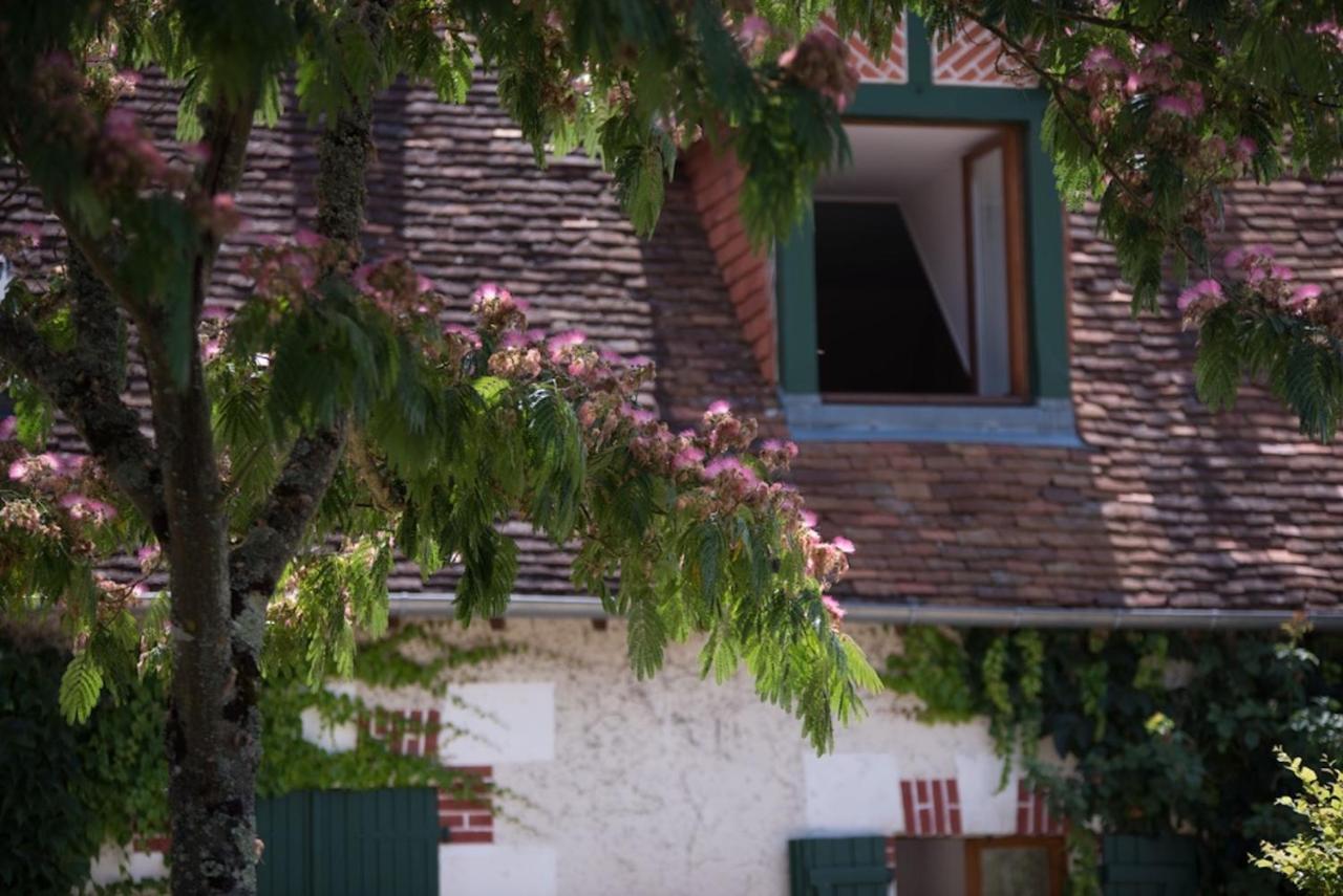 La Demalerie Bed & Breakfast Cheverny Exterior photo